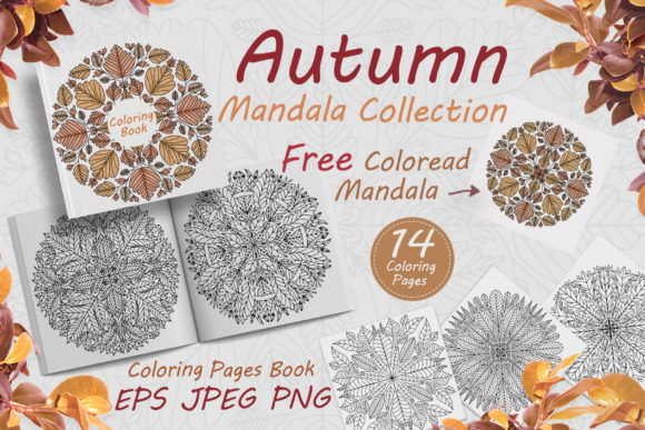 Autumn Mandalas Drawn from Leaves for Coloring Pages & Creative Selling