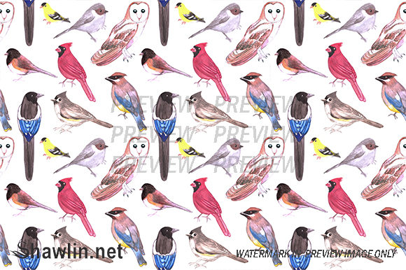 Wild Birds Watercolor: A Designer's Review